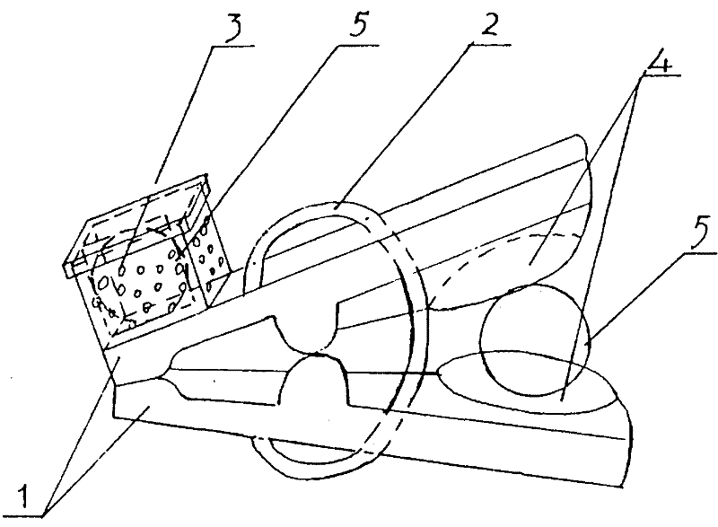 Clothes clip capable of storing camphor