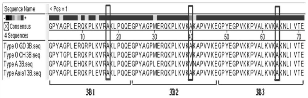 Foot-and-mouth disease recombinant virus with reduced immunosuppression function as well as preparation method and application thereof