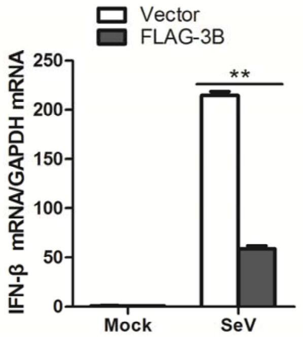 Foot-and-mouth disease recombinant virus with reduced immunosuppression function as well as preparation method and application thereof