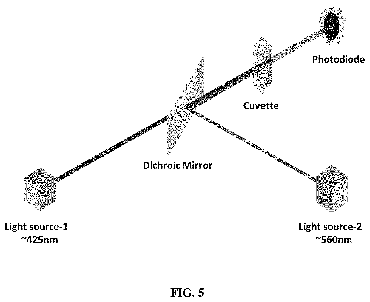 Methods for Identifying Haemoglobin S or C in a Biological Sample and Kits Thereof