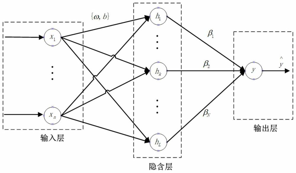 Human muscle sound signal prediction method based on random vector functional connectivity network technology