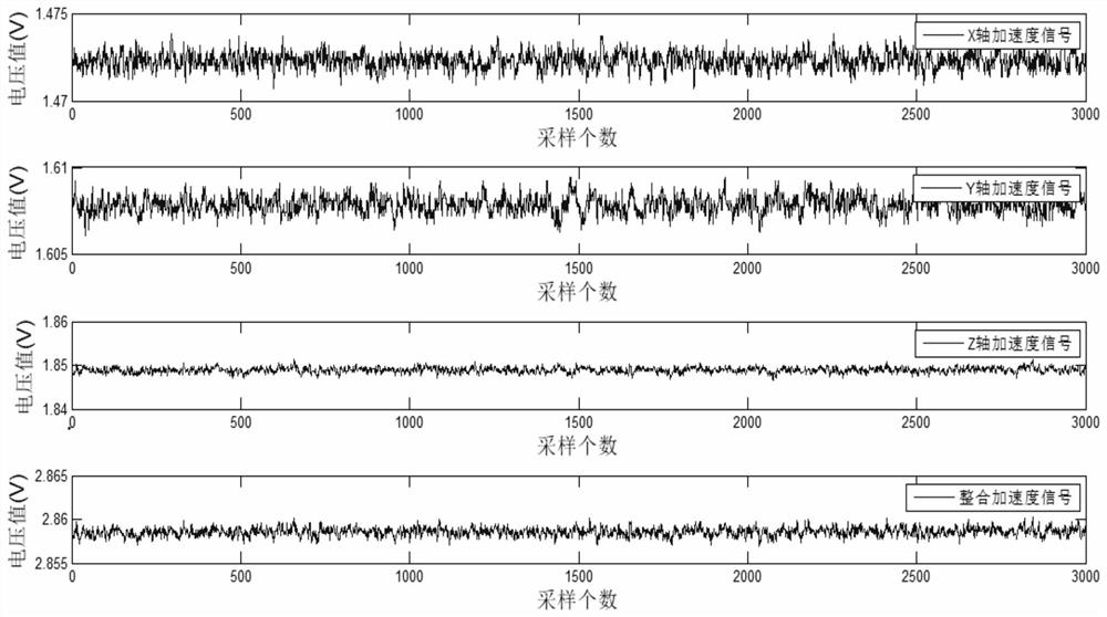 Human muscle sound signal prediction method based on random vector functional connectivity network technology