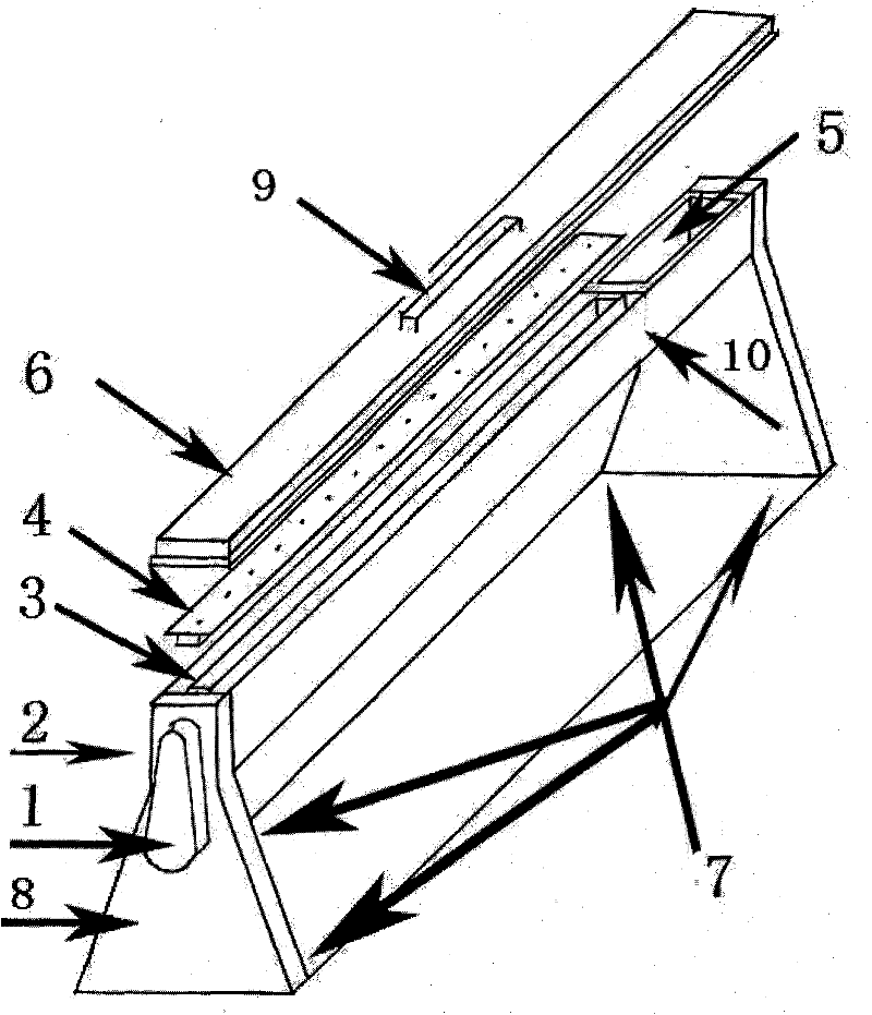 Instrument for sectioning and dyeing biological sample on electronic microscope