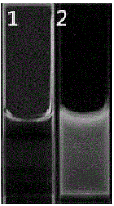 Preparation method of green fluorescent carbon spot and application of green fluorescent carbon spot in cell imaging