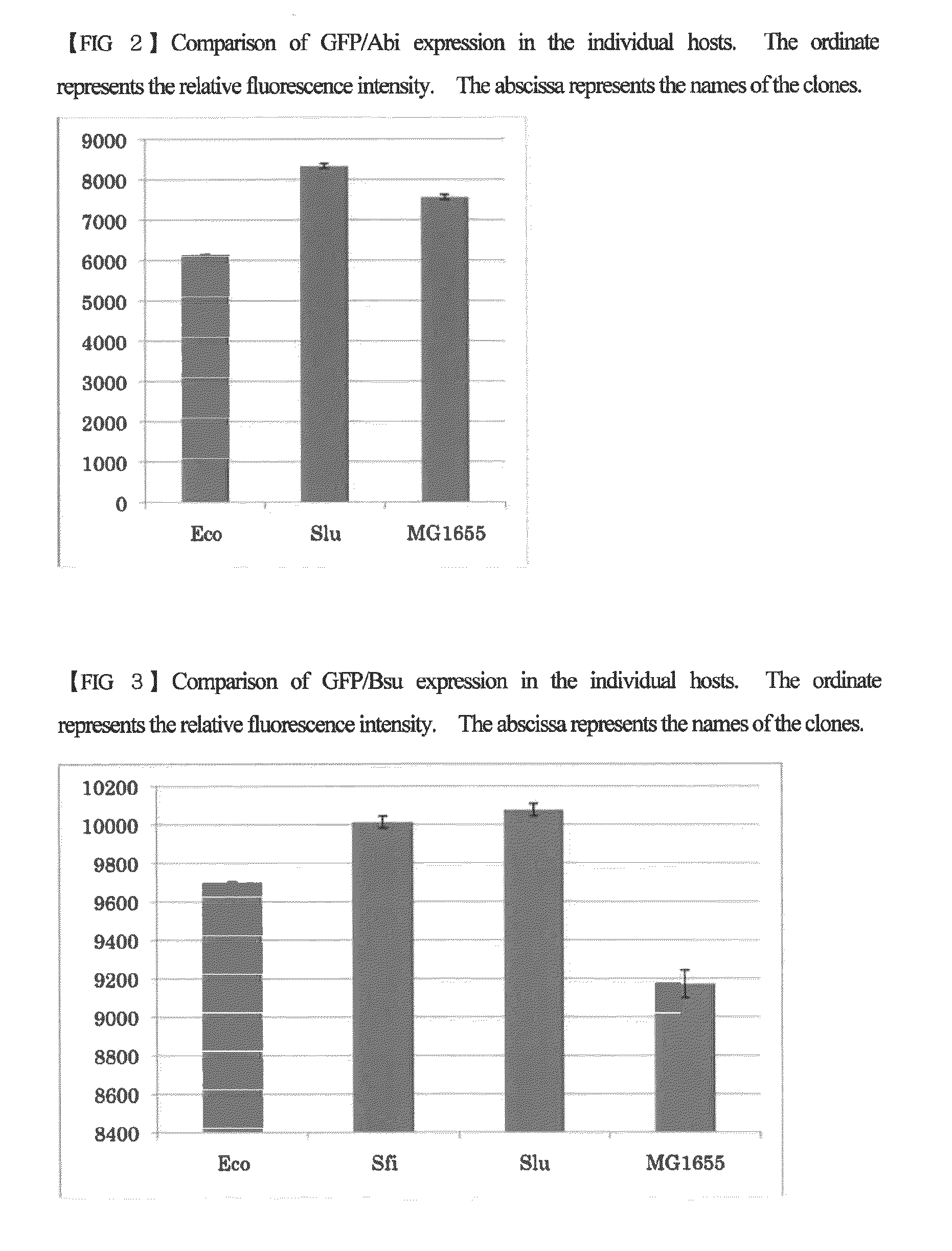 Escherichia coli having a modified translational property