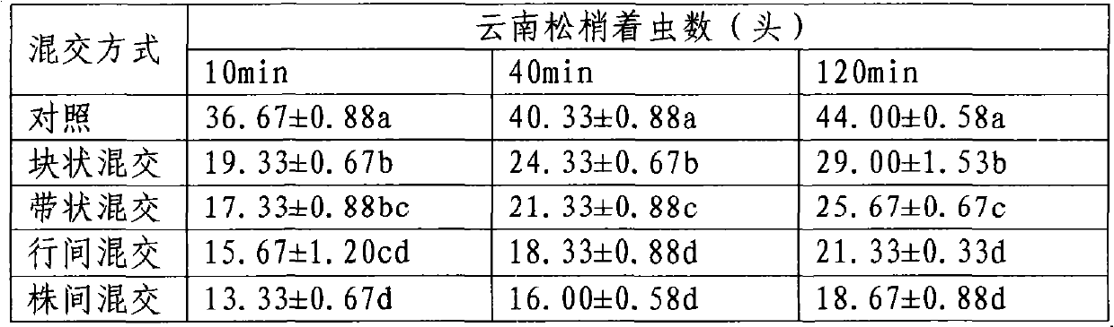 Pinus yunnanensis bark beetle-resisting mingled forest mode rapid screening method