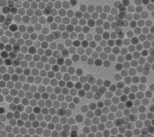 High-strength high-toughness self-repairing fluorescent double-network hydrogel and preparation method thereof