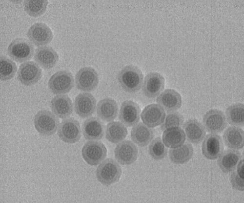 High-strength high-toughness self-repairing fluorescent double-network hydrogel and preparation method thereof