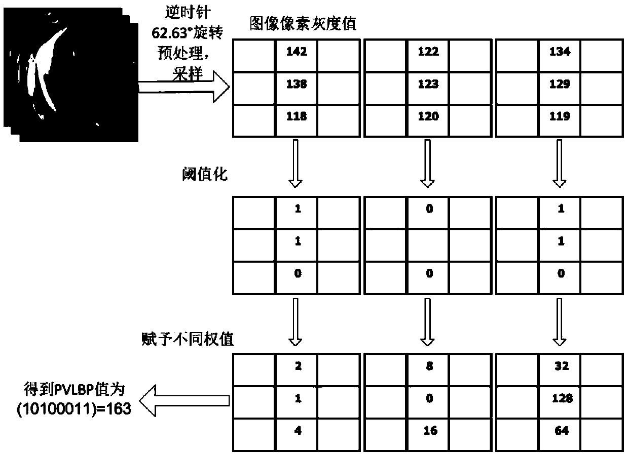 Aurora image sequence classification method based on space-time polarity local binary pattern