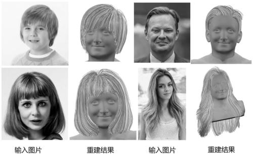 Hair reconstruction method based on adaptive octree hair convolutional neural network