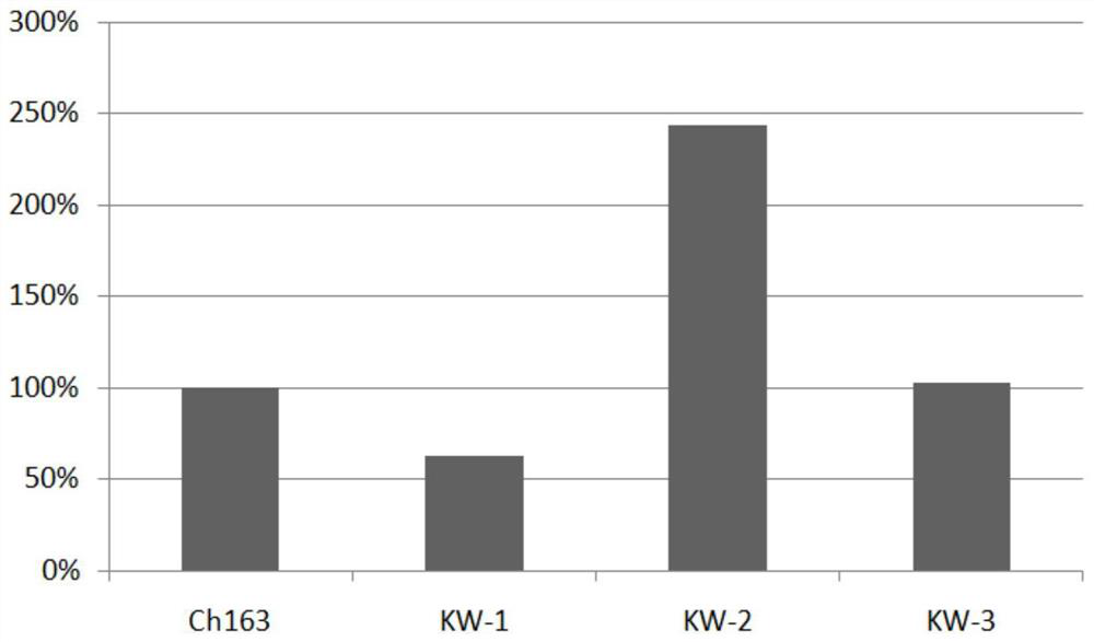 Anti-CLDN 18 fully-humanized antibody for treatment of late gastric cancer