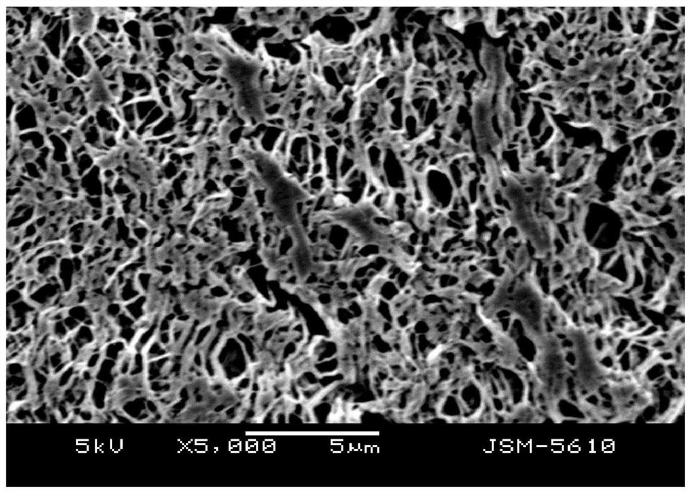 A kind of preparation method of hydrophilic polytetrafluoroethylene flat membrane