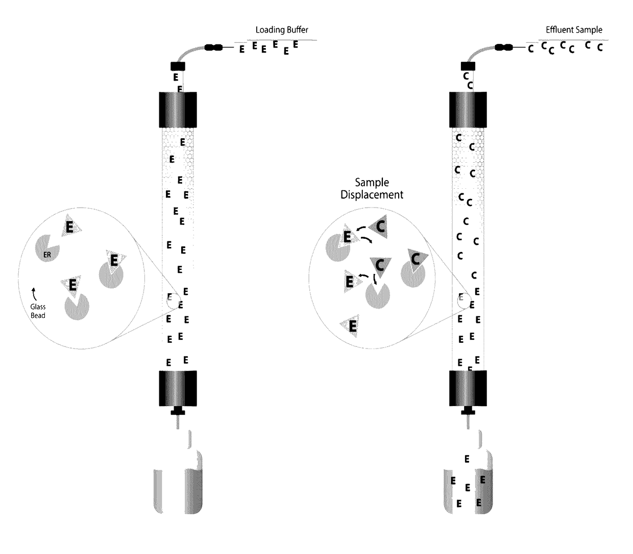 Endocrine disruptor field tester