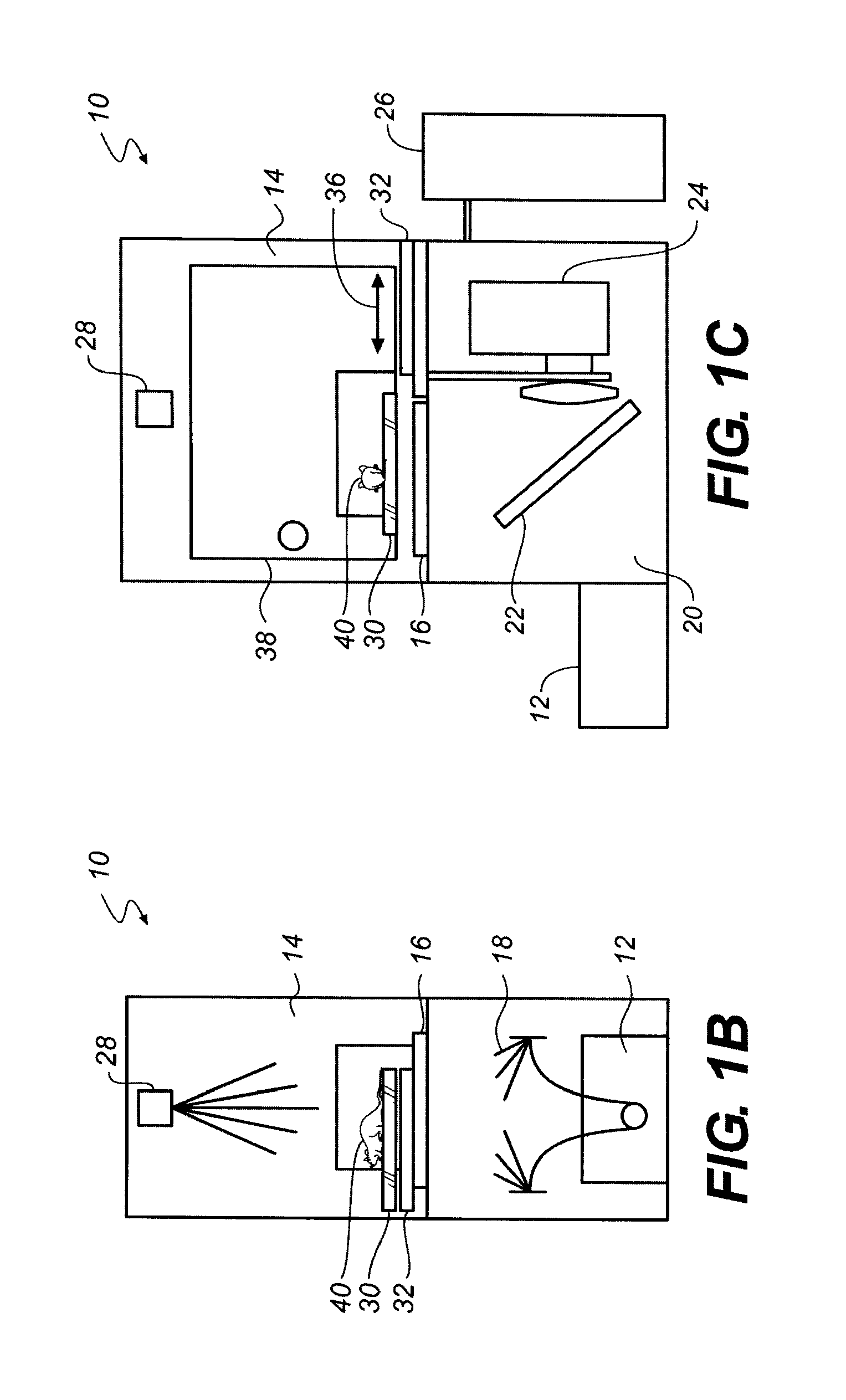 Torsional support apparatus and method for craniocaudal rotation of animals