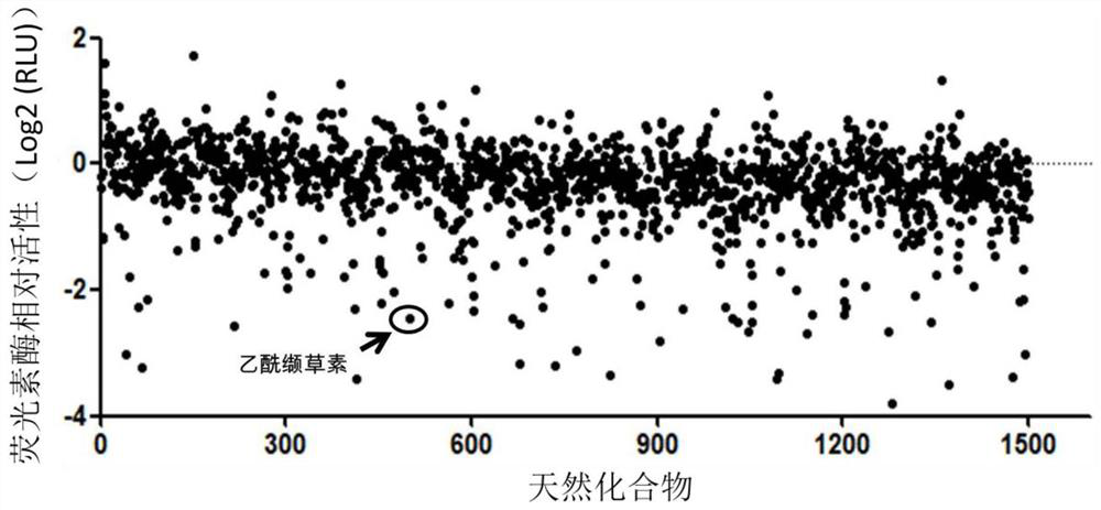 New application of acevaltratum