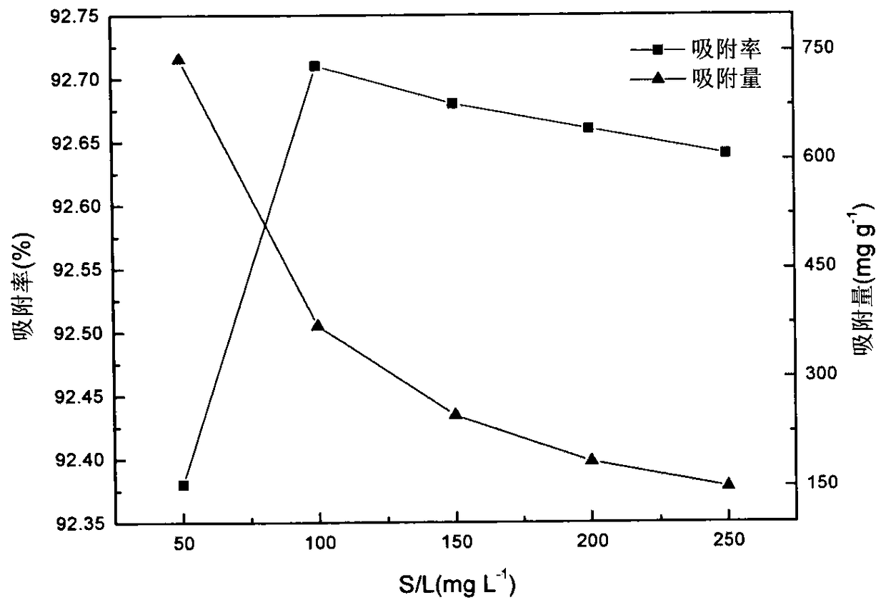 Facultative marine fungi repairing agent modified by double amidoxime groups and method for repairing uranium-polluted water body