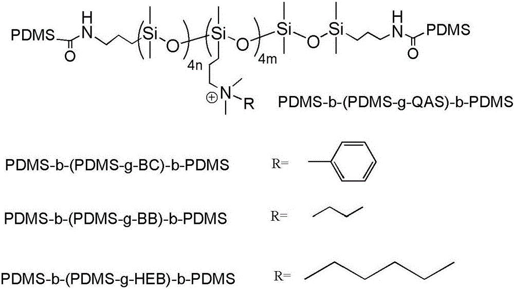 Application of block macromolecule quaternary ammonium salt in growth inhibition of banana oxysporum