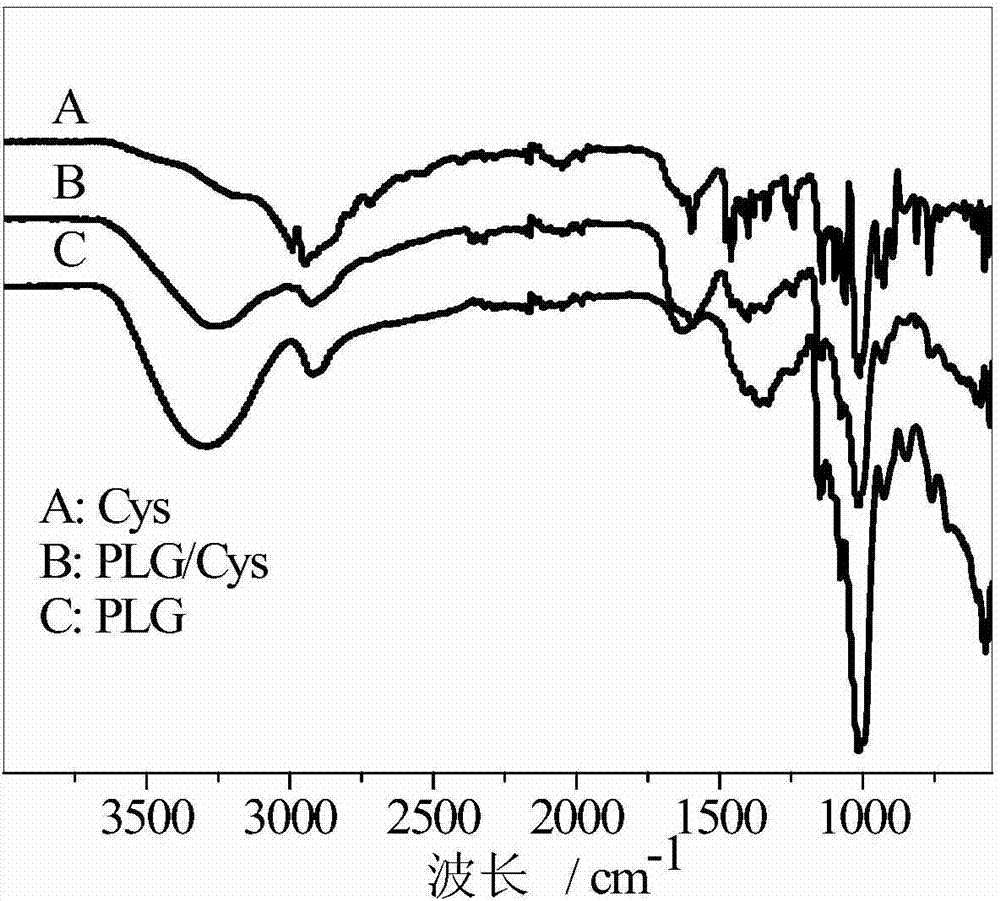 PH/reduction-sensitive nano microgel based on polyglutamic acid and cystamine