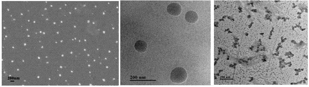 PH/reduction-sensitive nano microgel based on polyglutamic acid and cystamine