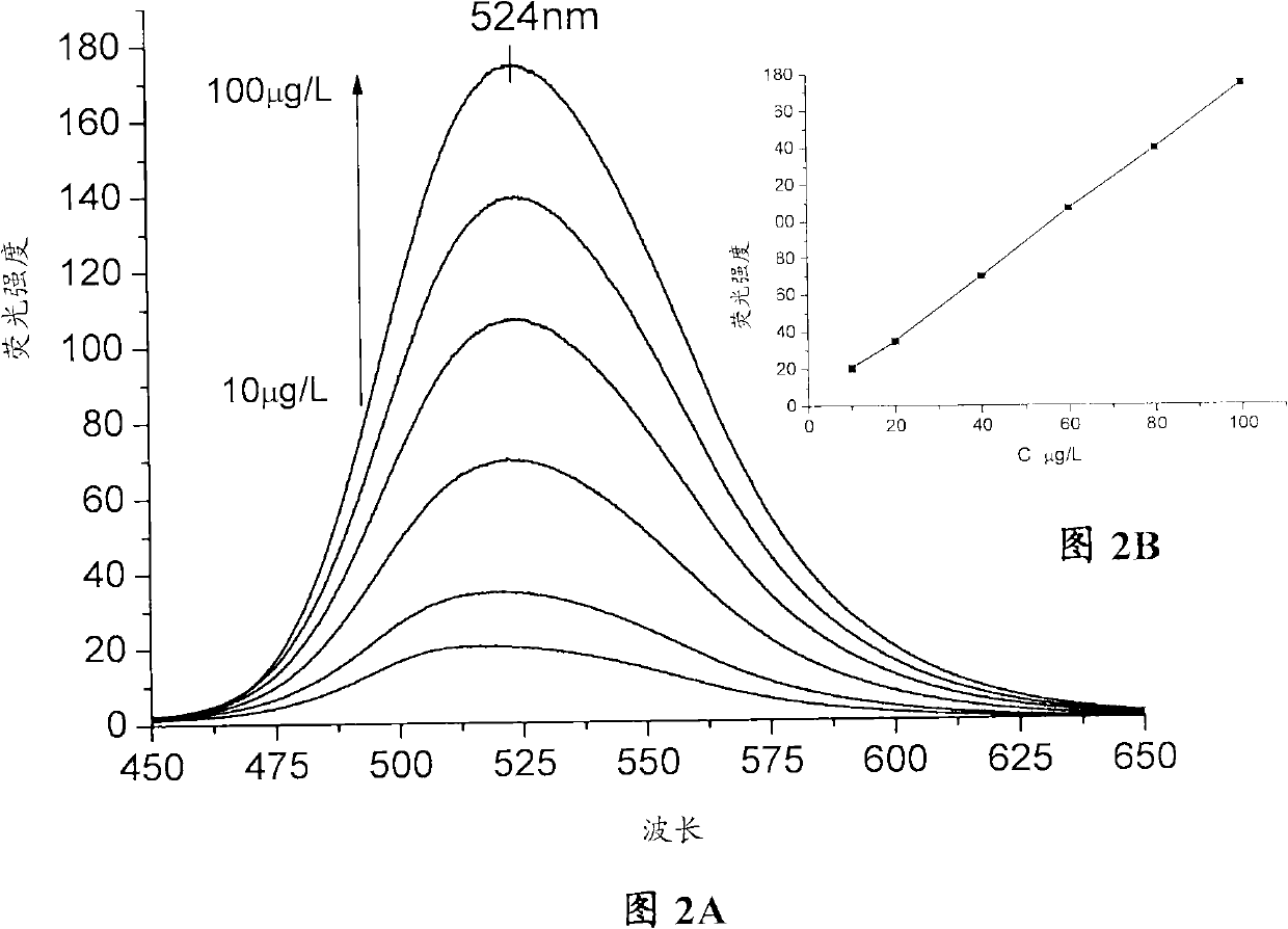 Fluorescent monomer and fluorescent acrylic acid polymer and preparation method of fluorescent monomer and fluorescent acrylic acid polymer