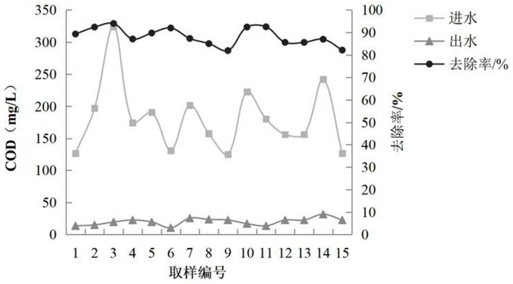 Enhanced nitrogen and phosphorus removal and resource recycling type constructed wetland system