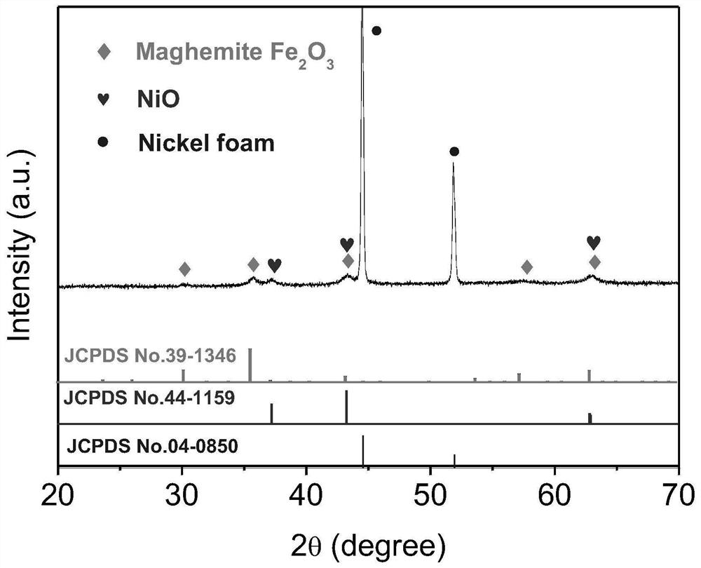 Flexible multifunctional corneal contact lens based on gamma-Fe2O3@NiO magnetic oxide nanosheets