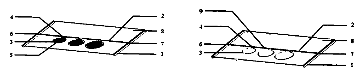 Microfluidic device for automatic quantitative distribution, collection and detection and using method of microfluidic device