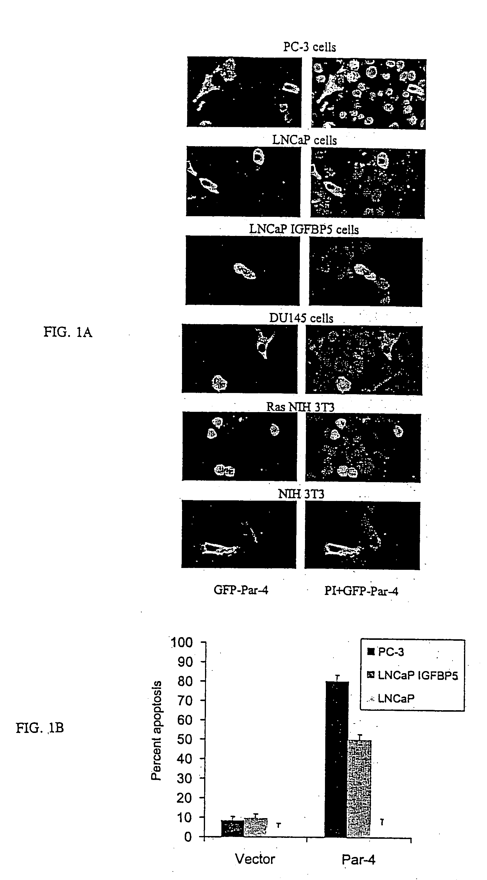 Identification of a unique core domain of Par-4 sufficient for selective apoptosis induction in cancer cells