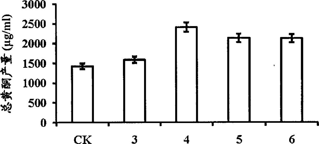 Process for producing flavone through liquid-solid double-phase phellinus igniarius culture