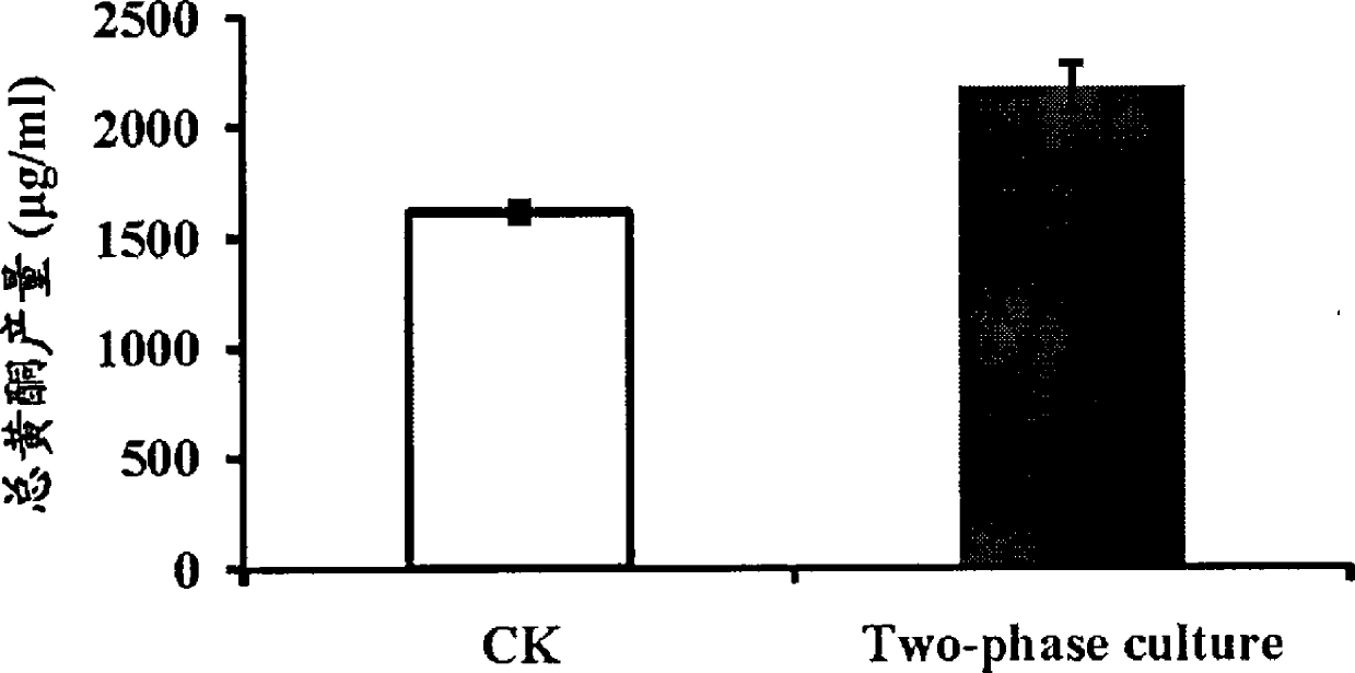 Process for producing flavone through liquid-solid double-phase phellinus igniarius culture