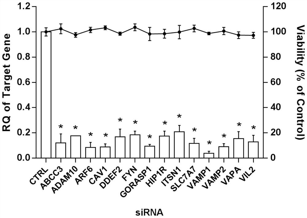 Application of ATP-binding cassette transmembrane transport subfamily c member 3 in preparation of drugs for prevention and treatment of enterovirus 71 infection