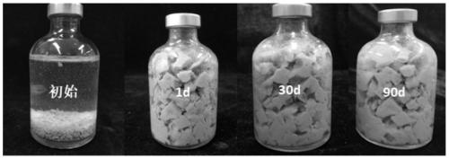 A temperature-resistant and salt-resistant high-expansion plugging agent for sealing large cracks and its preparation method