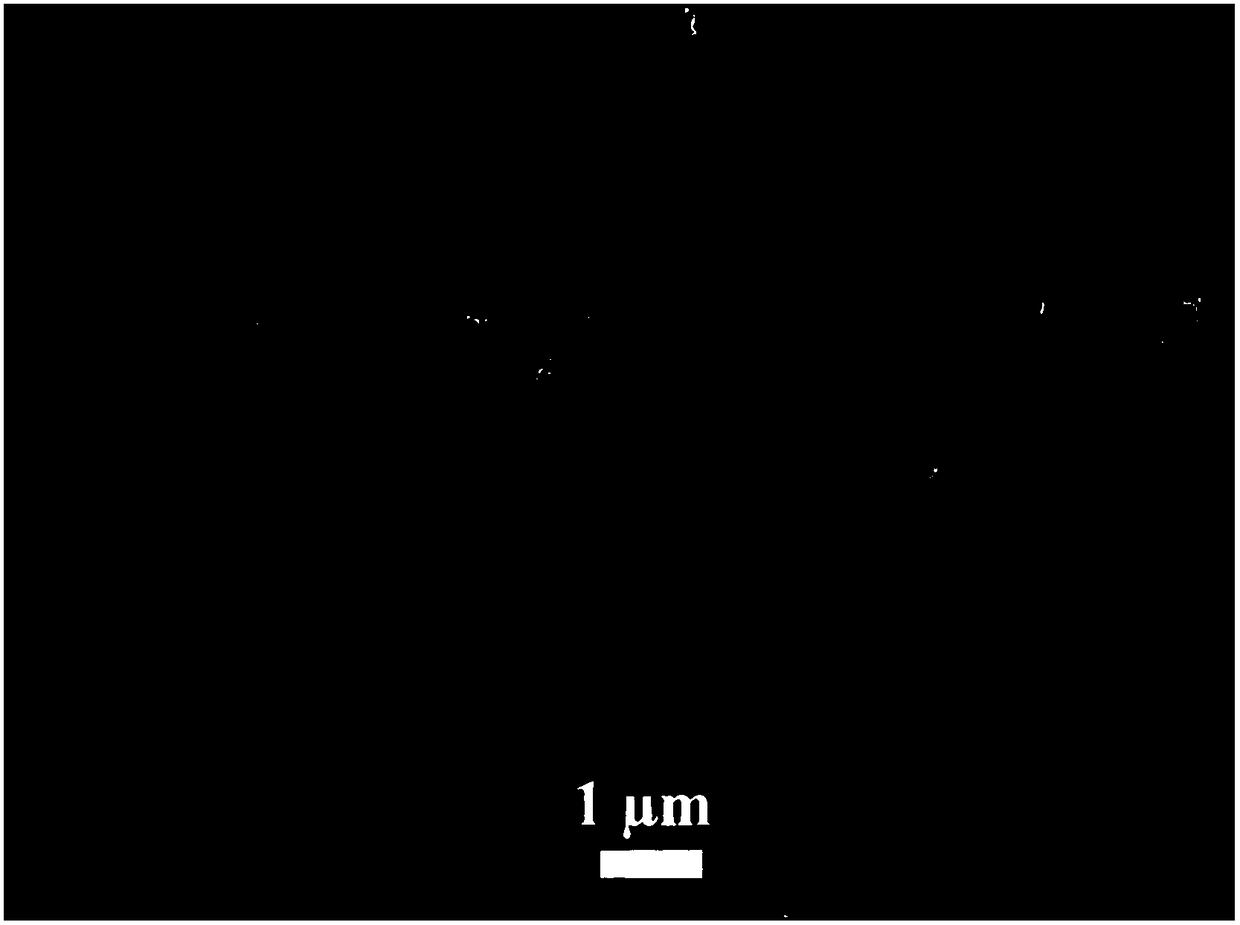 Three-dimensional cobaltous sulfide oxygen evolution electrode preparation method based on electrodepositing technology and electrode prepared through method