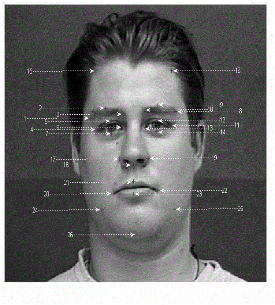 Facial expression recognition method based on feature point vectors and texture deformation energy parameter