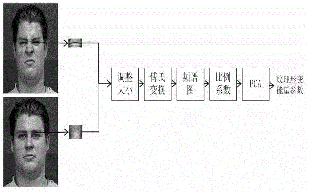 Facial expression recognition method based on feature point vectors and texture deformation energy parameter