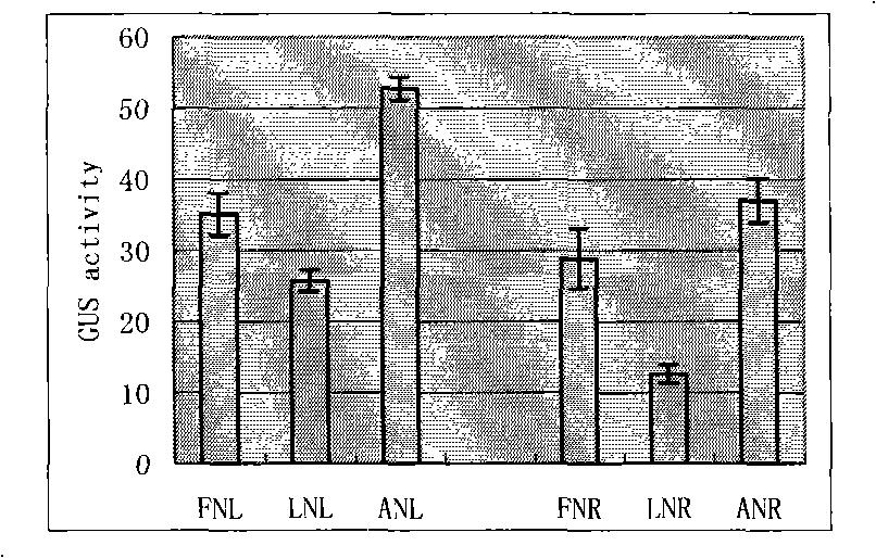 Method for accelerating vegetation in low-nitrogen condition