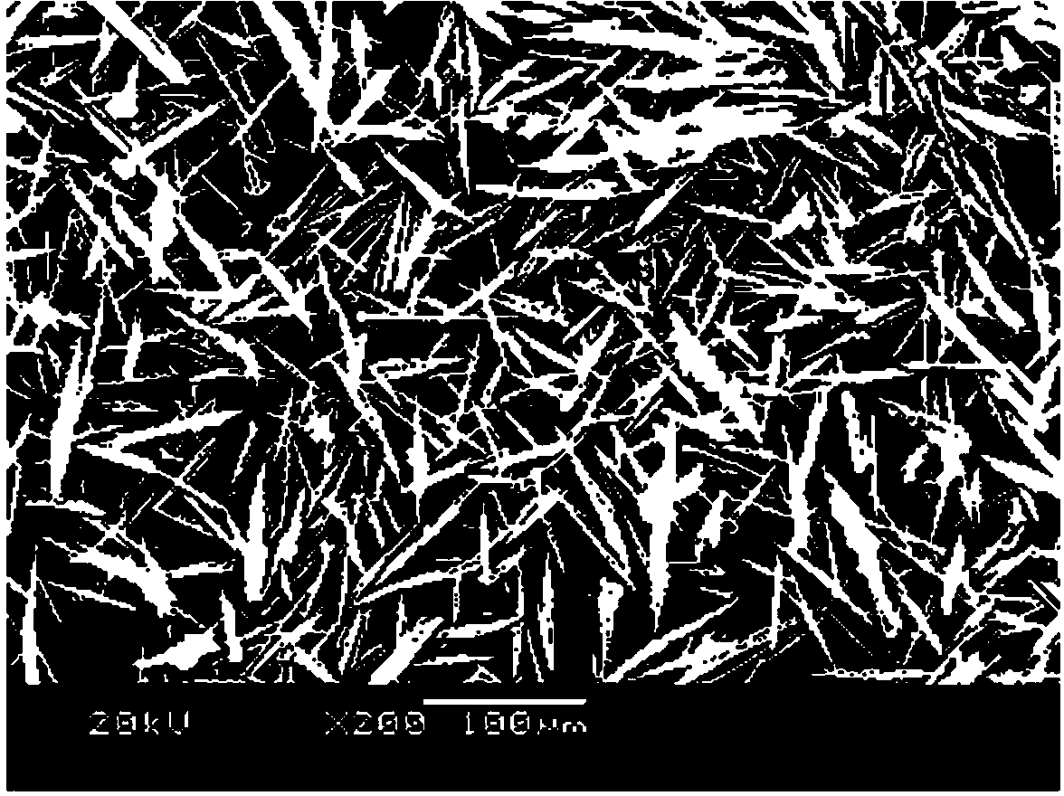 Preparation method of cobalt molybdate microcrystals