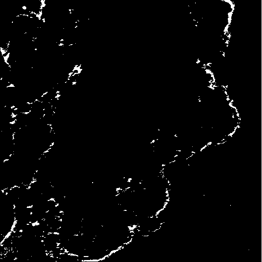 Proton exchange membrane fuel cell cathode non-platinum catalyst and preparation method thereof