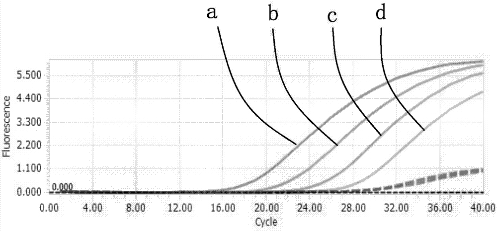 Primer probe combination, PCR reaction fluid, kit and application thereof