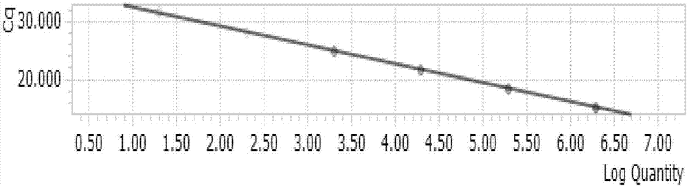 Primer probe combination, PCR reaction fluid, kit and application thereof