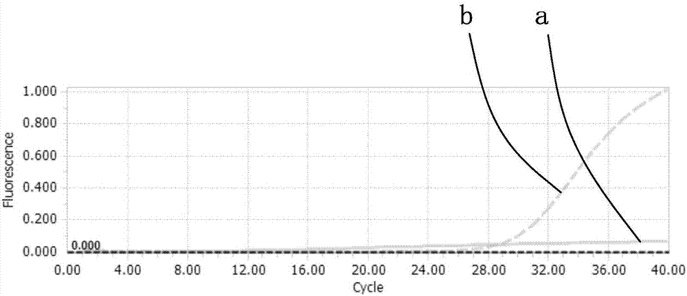 Primer probe combination, PCR reaction fluid, kit and application thereof