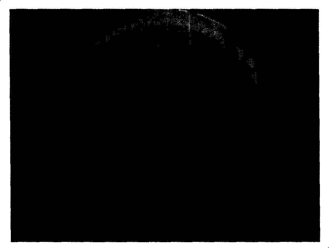 Sesquiterpenoids, composition thereof, method for extracting the same from plants and application