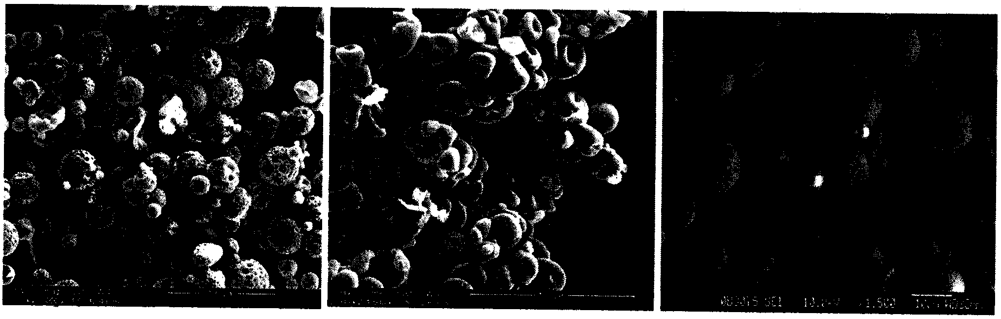 Biodegradable lutein microspheres and manufacturing method thereof