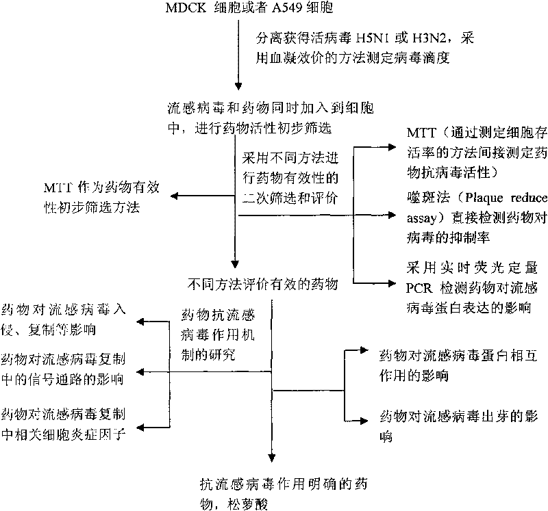 Application of usnic acid in anti-influenza virus medicaments