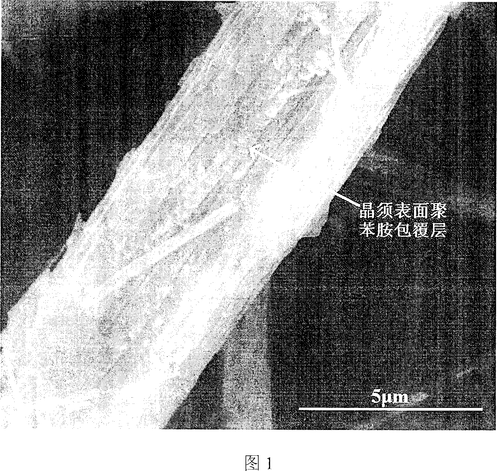 Conductive whiskers in situ polymerized and cladded by aniline and its preparation method