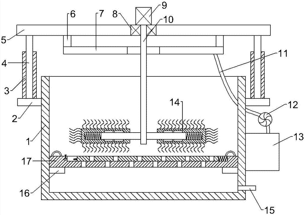 Surface cleaning device for wild margarya melanioides