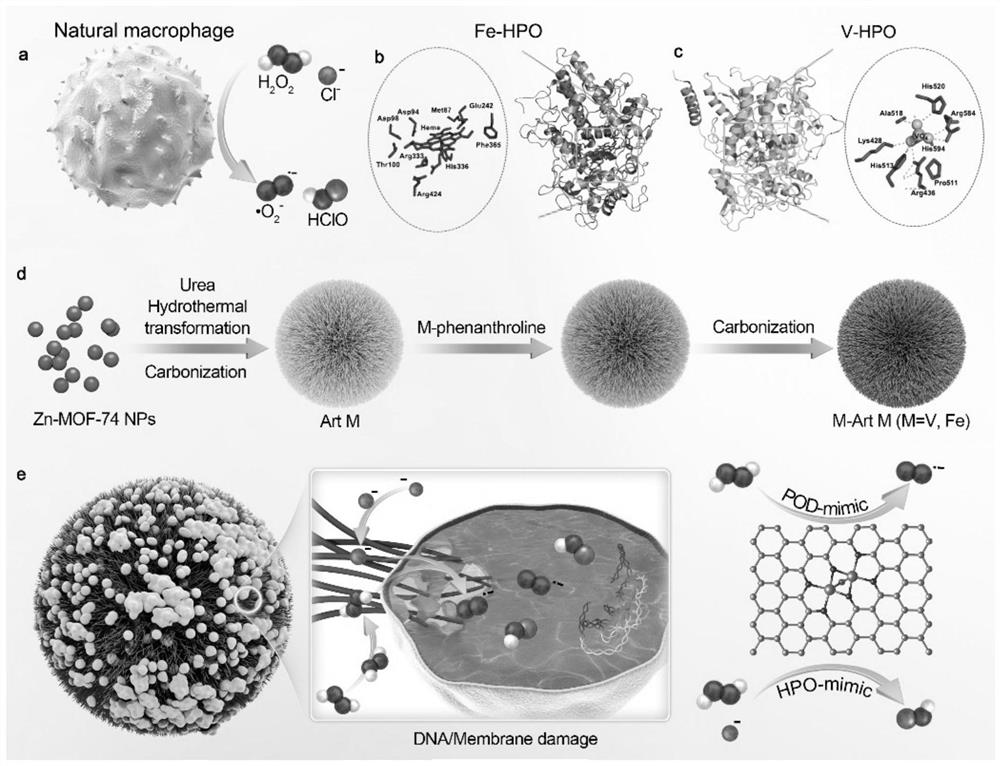 Hedgehog-shaped catalytic material with atomic catalytic center and application of hedgehog-shaped catalytic material in preparation of antibacterial drugs