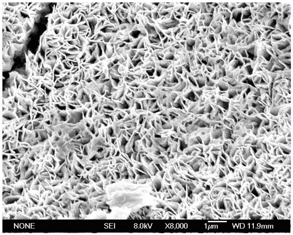 Preparation methods of different carbon fiber/cobalt hydroxide electrodes and solid-liquid composite electrode systems