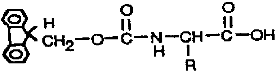 Human occludin antigen epitope peptide, antigen, antibody, kit and use