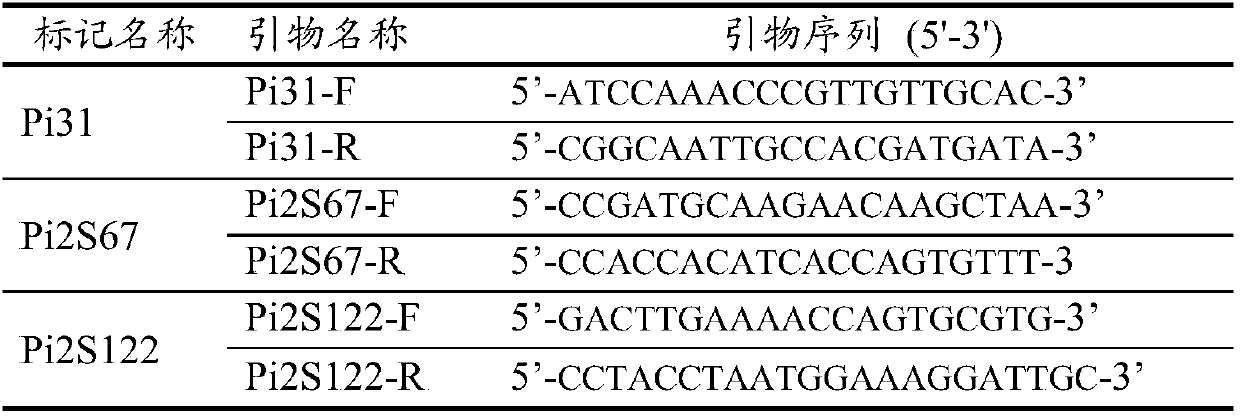 Rice genome recombinant nucleic acid fragment RecCR012612 and detection method thereof